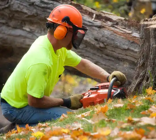 tree services New Seabury